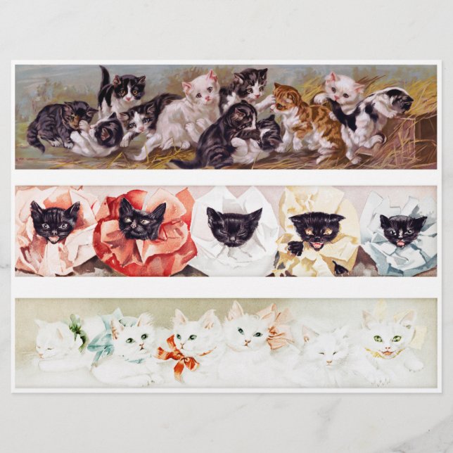 Papier Trois rangées de chatons victoriens de l'époque (Devant)
