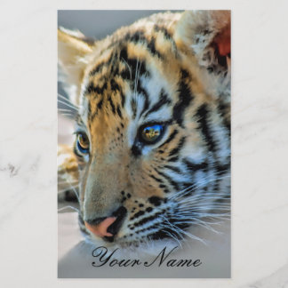 Papier Un bébé tigre mignon
