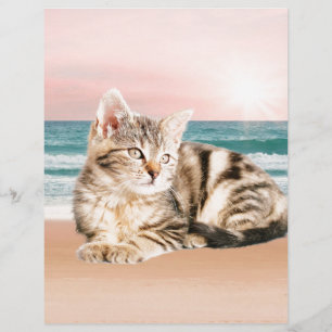 Papier Un chat rayé plus mignon assis sur la plage au cou