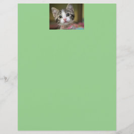 Papier Un chaton mignon aux yeux verts