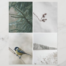 Papier Winter Nature: Christmas Scrapbook Cutout paper