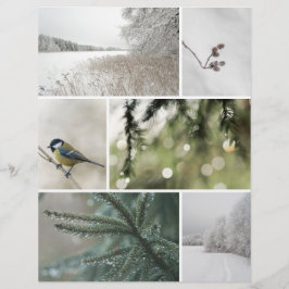 Papier Winter Nature: Christmas Scrapbook Cutout paper