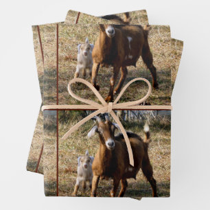 Papierblätter für Momma- und Kid-Ziegen Geschenkpapier Set