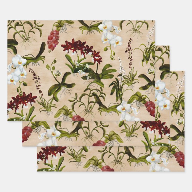Papierblätter - Muster für Orchideen in Biege Geschenkpapier Set (Set)