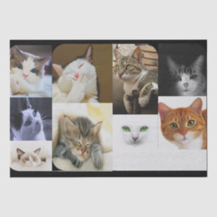 Papiere für Katzen-Liebhaber Seidenpapier