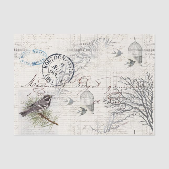 Papiere für Vintage Vogelarten und Branchen Seidenpapier (Vorderseite)