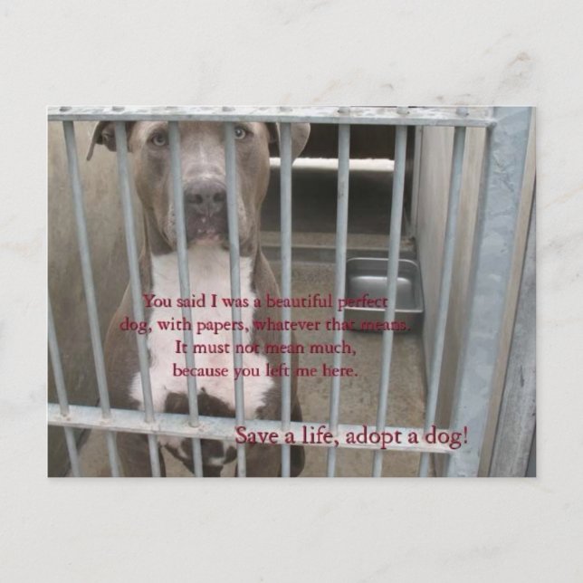 papiere postkarte (Vorderseite)