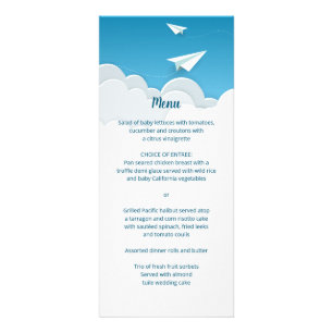 Papierflugzeug im Menü "Sky Going Away"