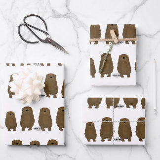 Papierfolien für Otter Geschenkpapier Set