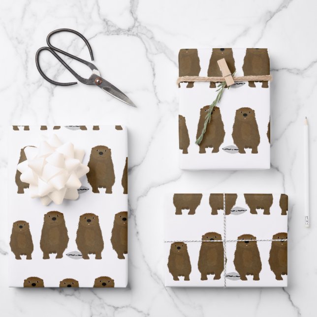 Papierfolien für Otter Geschenkpapier Set (Vorderseite)