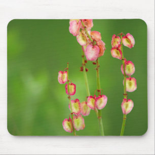 Papierherzen (Rumex Woodii), Ukhahlamba Mousepad