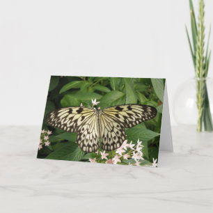 Papierkite Butterfly-Grußkarte Karte