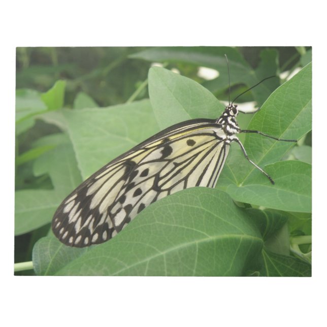 Papierkite-Makro-Editor Notizblock (Vorderseite)