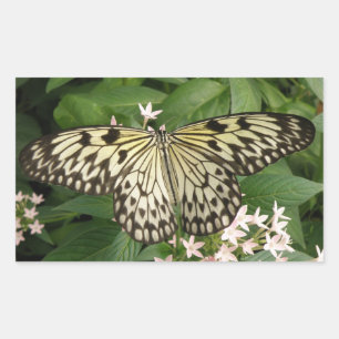 Papierkleber Rechteckiger Aufkleber