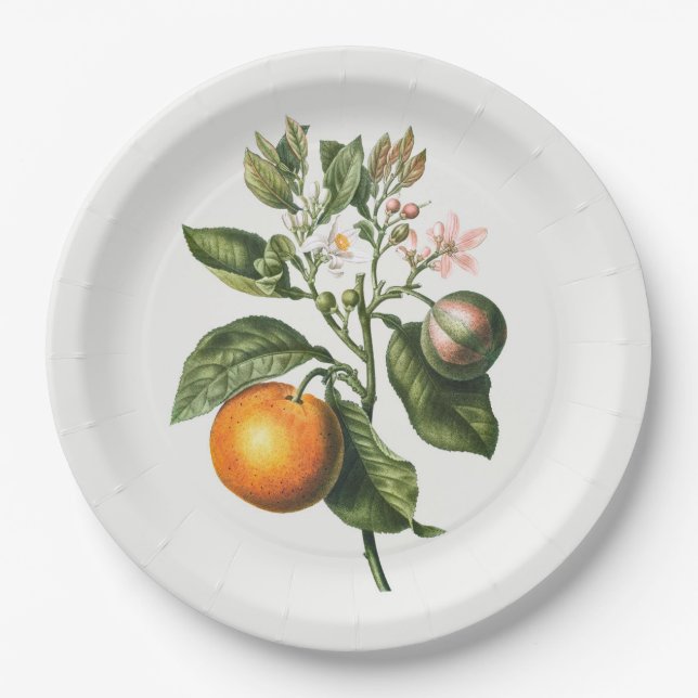 PAPIERPLATTE: BITTER ORANGE BLOSSOM PAPPTELLER (Vorderseite)