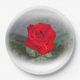 Papierplatte der klassischen Rote Rose Pappteller