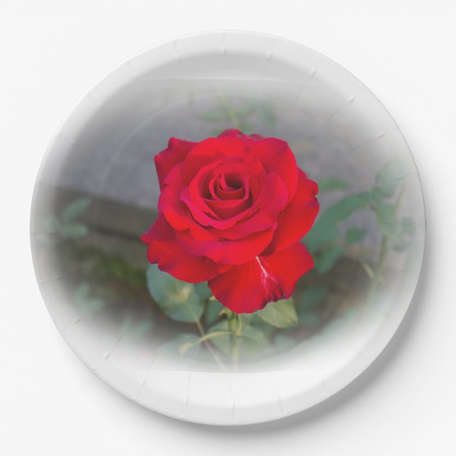Papierplatte der klassischen Rote Rose Pappteller (Vorderseite)