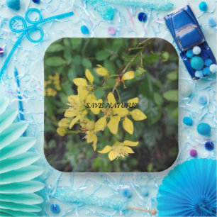 PAPIERPLATTE MIT NATURSCHUTZNACHRICHT PAPPTELLER