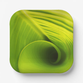 Papierplatte."Öko-freundliche Elegance: Leaf Desig Pappteller