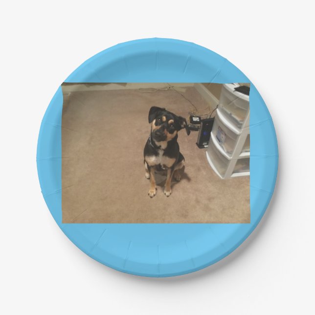 Papierplatte Pappteller (Vorderseite)