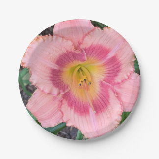 Papierplatte Pappteller