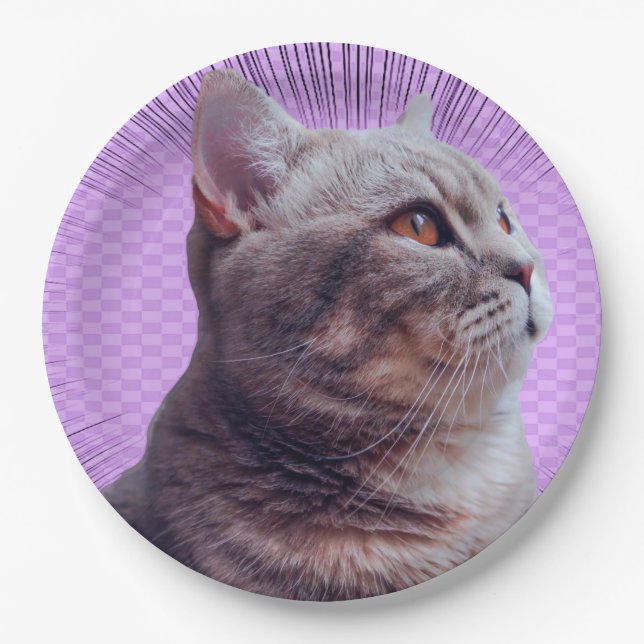 Papierplatte Pappteller (Vorderseite)