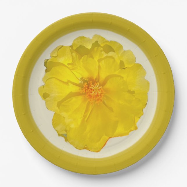 Papierplatte Pappteller (Vorderseite)