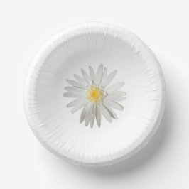 Papierplatte Pappteller