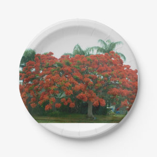 Papierplatte Pappteller