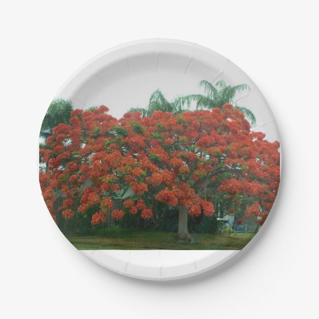 Papierplatte Pappteller (Vorderseite)