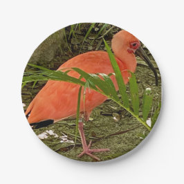 Papierplatte Pappteller