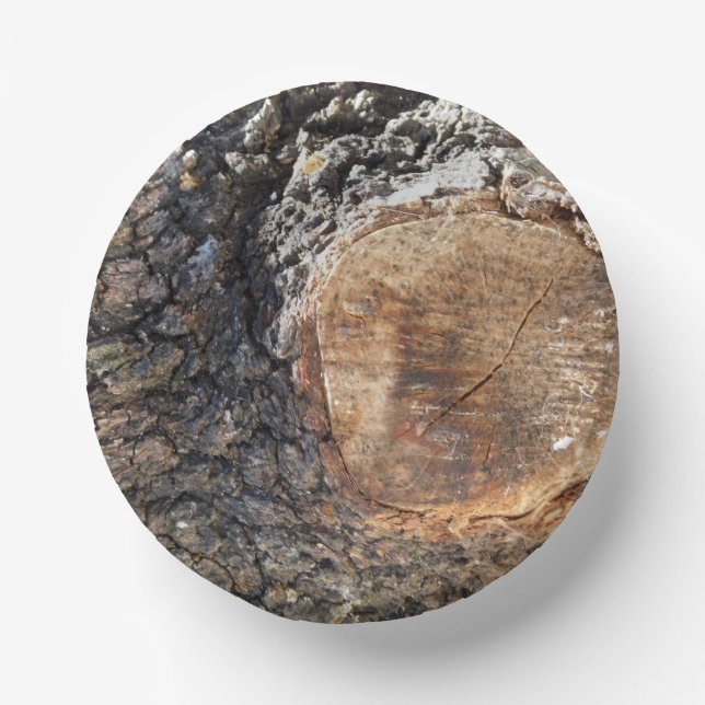 Papierplatte Pappteller (Vorderseite)