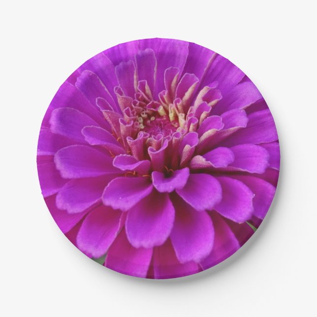 Papierplatte Pappteller (Vorderseite)