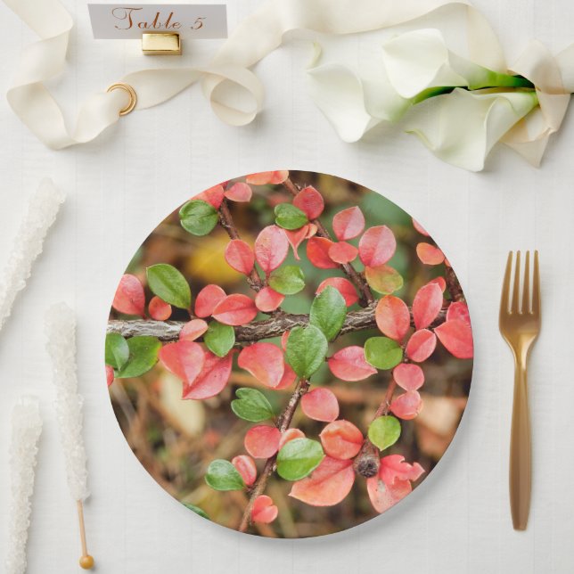 Papierplatte von CotonouOaster Horizontalis Pappteller (Hochzeit)