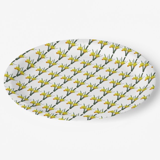 Papierplatte - Warenfeld Pappteller (Schrägansicht)