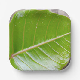 Papierquadrat mit Leaf-Design Pappteller