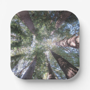 Papierschalen und -teller Kalifornische Redwoods n Pappteller