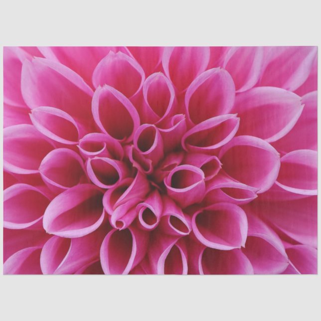 Papiertafel für die rosa Blume Seidenpapier (Vorderseite)