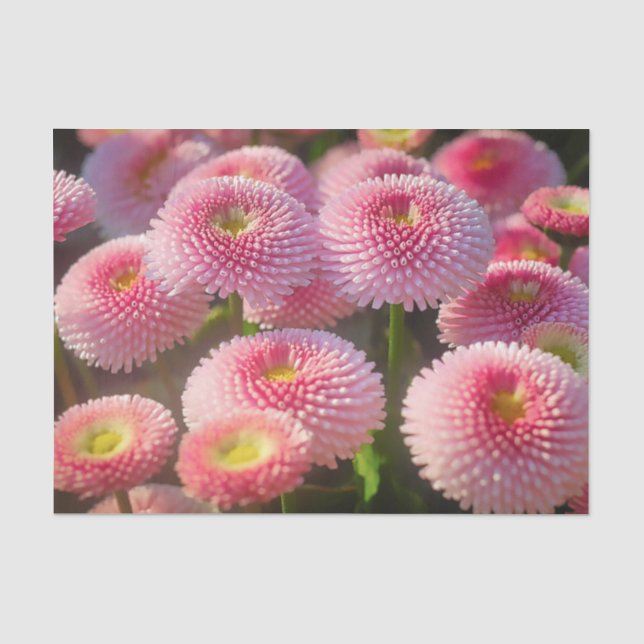 Papiertafel für die rosa Blume Seidenpapier (Vorderseite)