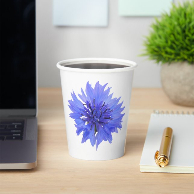Papiertasse mit blauer Kornblume Pappbecher (InSitu)