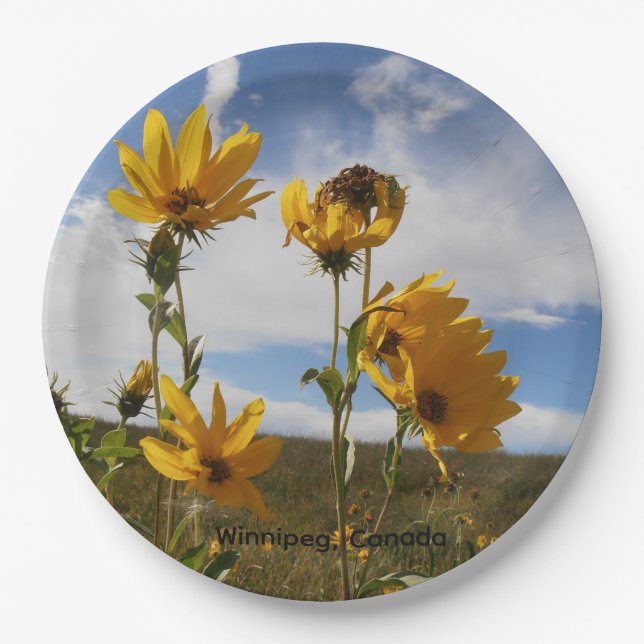Papierteller Prairie Sunset rund (Vorderseite)