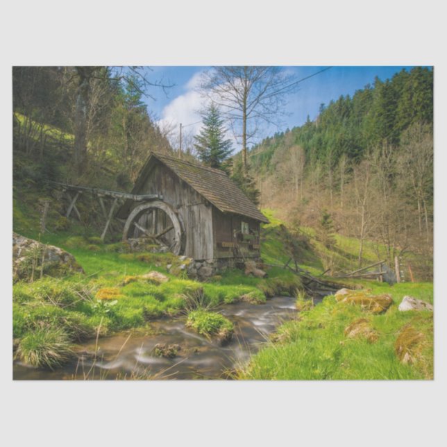 Papiertütenpapier Seidenpapier (Vorderseite)