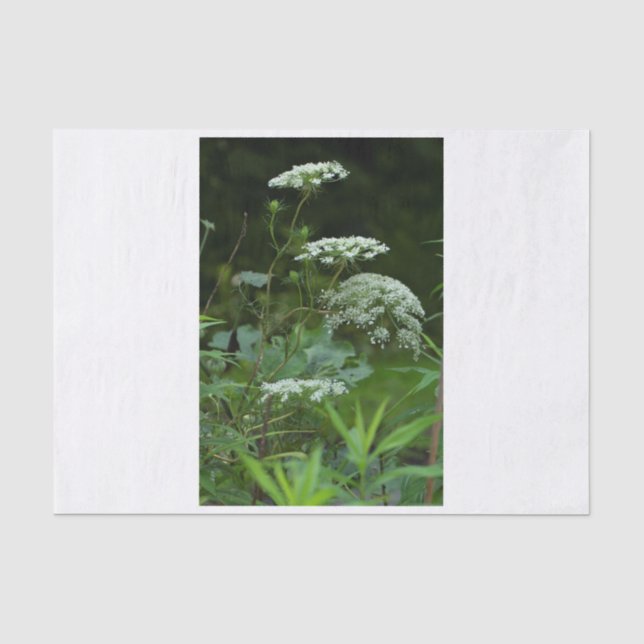 Papiervorlage Seidenpapier (Vorderseite)