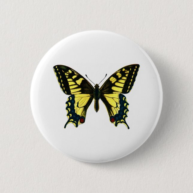 Papilio Machaon Button (Vorderseite)