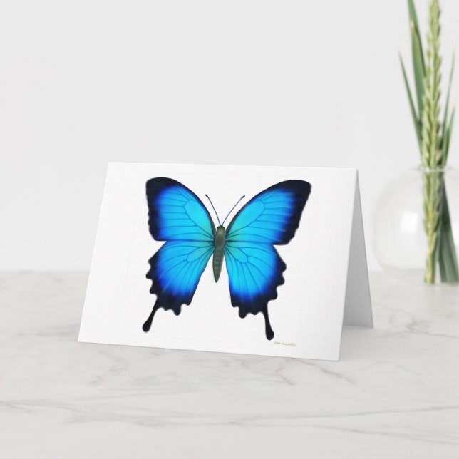 Papilio Ulysses Schmetterlings-Karte Karte (Vorderseite)