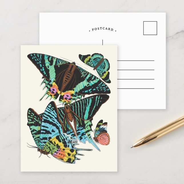 Papillen | Emile-Allain Séguy Postkarte (Von Creator hochgeladen)