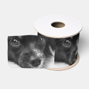 Papillenfläche Ripsband