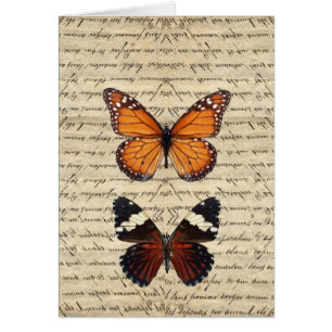 papillon