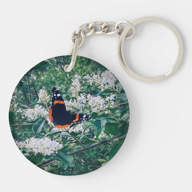 Papillon Amiral Rouge (Dos)