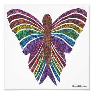 Papillon Arc-en-ciel (blanc) - Impression photo